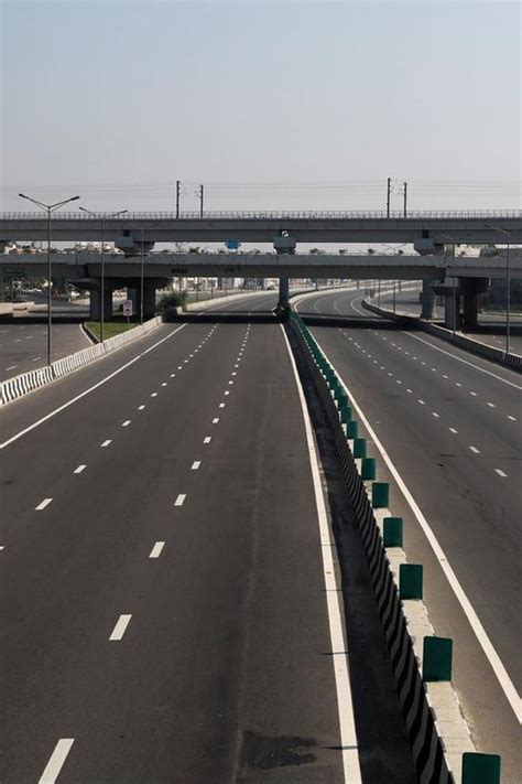 animal: Get Latest Buzz, Updates, Gossip, Photos & Videos