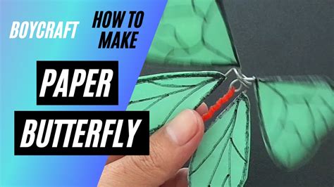 Image result for Making Flying Butterflies