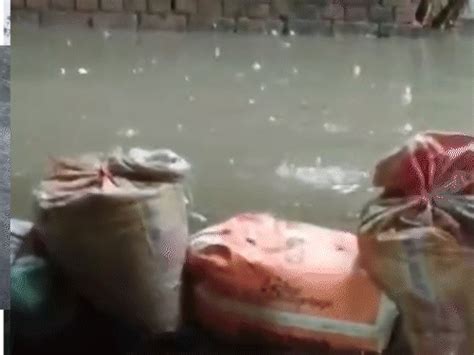 IMD issues heavy rain alert for 8 Jharkhand districts today Ranchi to ...