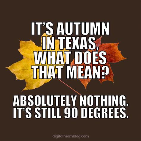 15 Hilarious Texas Fall Memes That Perfectly Capture Autumn
