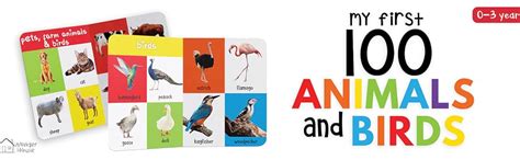 My First 100 Animals and Birds: Padded Board Book for Kids | Learn ...