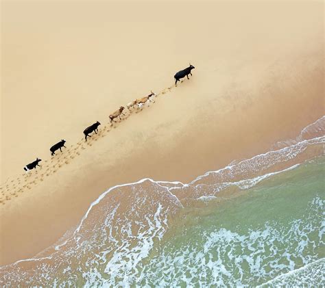 Image result for Android 8.1.0 Download