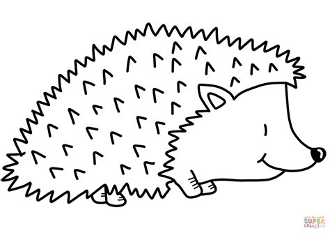 Cute Hedgehog Coloring Pages