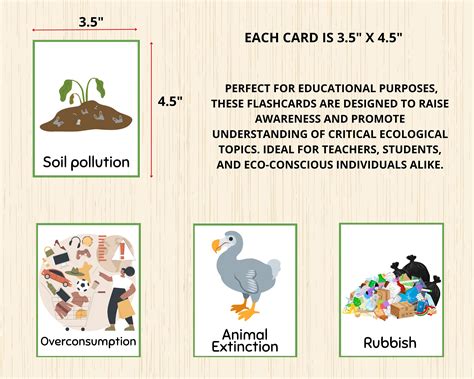 Environment Flashcard 的图像结果