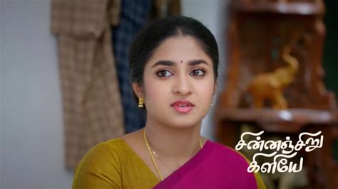 Watch & Enjoy All the Episodes of Chinnan Siru Kiliye TV Serial Online ...