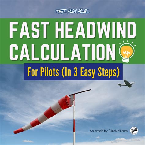 Image result for Basic Flying Lessons