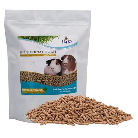 Buy INR's Farm Fresh Premium Guinea Pig Pellets Food 1Kg | High Fiber ...