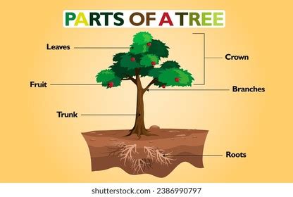 Image result for Tree Structure HTML/CSS