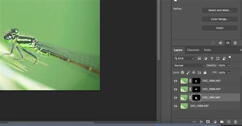 Image result for Stacking Methods in Photoshop