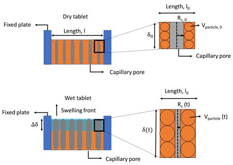 The Significance of Tablet Internal Structure on Disintegration and ...