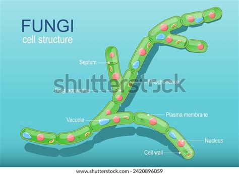 Mold Inspector 的图像结果