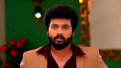 Watch Karthigai Deepam TV Serial 19th December 2022 Full Episode 13 ...