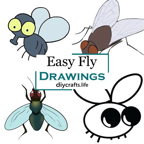 22 Easy Fly Drawing Ideas For Kids - DIY Crafts
