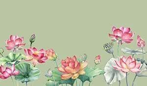 Backdropon Colourful Flowers Backdrops Nature Backdrop Curtain Cloth ...