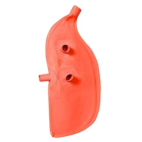 New Jaibharat Musicals bagpipe rubber blader special quality : Amazon ...