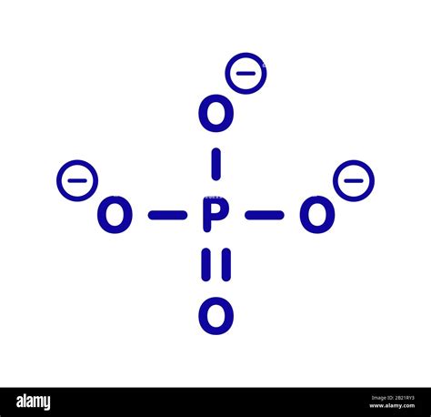 Po4 3-lewis Structure What is the Lewis structure of phosphate? | Study.com