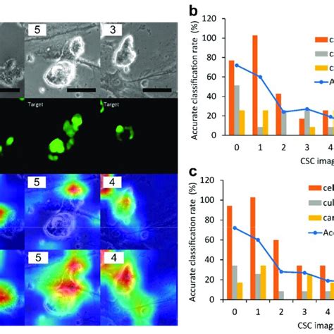 Image result for Visualization of High Level Features CNN