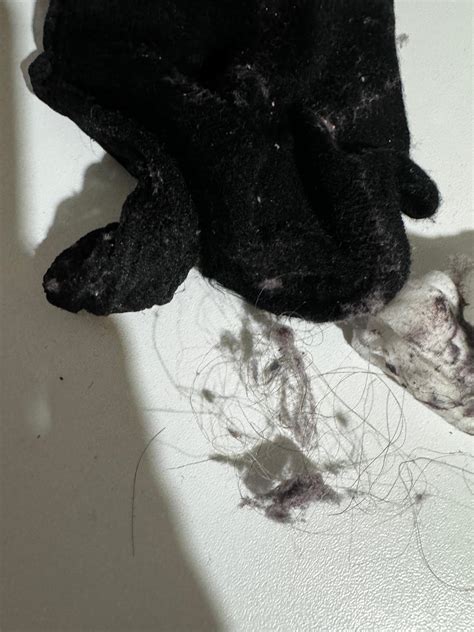 Bosch Dryer Problems 的图像结果