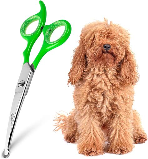 Scissor Grooming Dog