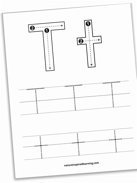 Letter T Worksheets For Preschoolers