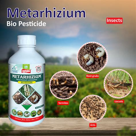 Multiplex Metarhizium Insecticide (Liquid) – Agriplex