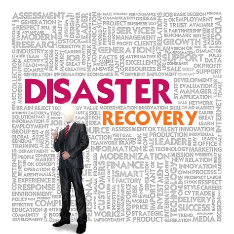 Disaster Recovery 的图像结果
