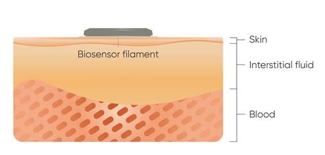 Image result for How Does a Biosensor Work