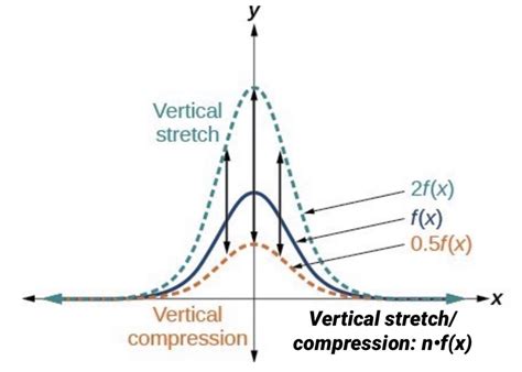 Horizontal Stretch and Compression Graphs 的图像结果