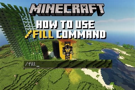 Fill Command Java 1.12.2 的图像结果