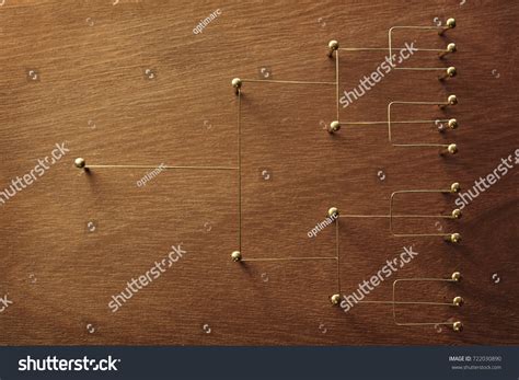 Types of Chain of Command 的图像结果