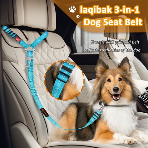 Safe Travels: Review of the 3-in-1 Removable Dog Seat Belt Harness