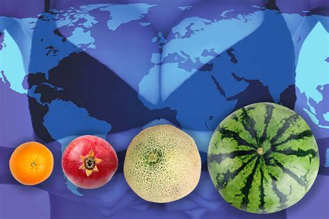 Average Breast Size In Ukraine at Annalisa Hanley blog