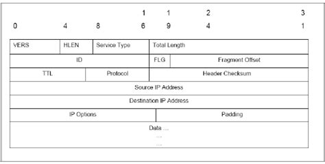 Image result for IP Datagram Components