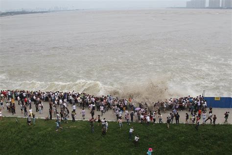 Qiantang River Tidal Bore in China 2024 - Rove.me