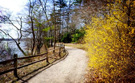 23 Best Hikes Near NYC 2024 - Top Hiking Trails Near New York City