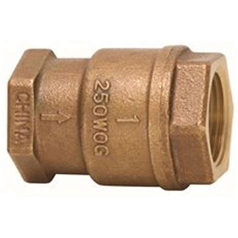 Image result for Spring Loaded in Line Check Valve