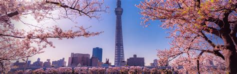 5 Days Tokyo Highlights Tour, Japan Tours
