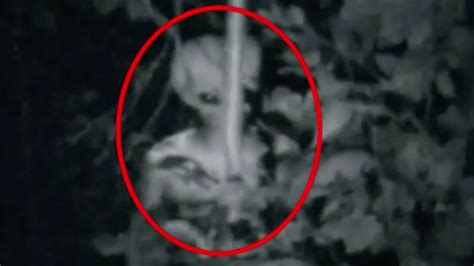 Image result for Alien Encounters Real Footage