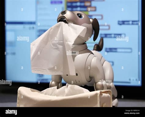 Tokyo, Japan. 23rd Jan, 2019. Japanese electronics giant Sony's robot dog "aibo" demonstrates to ...