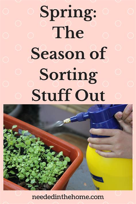 Image result for Spring Sorting Season