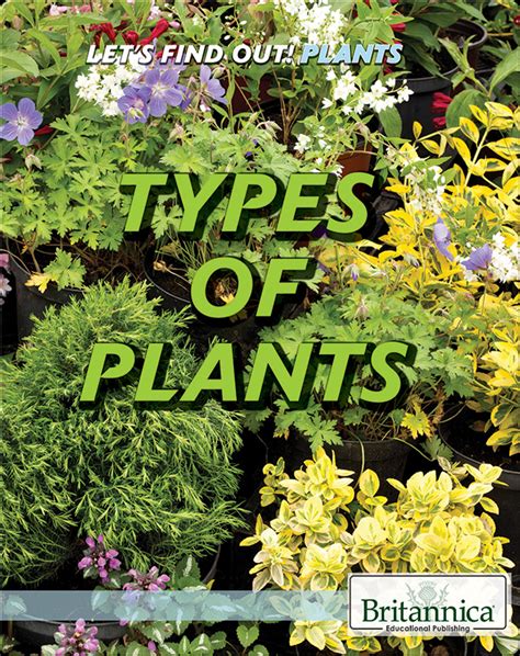 Types of Plants Book by Maddie Gibbs | Epic