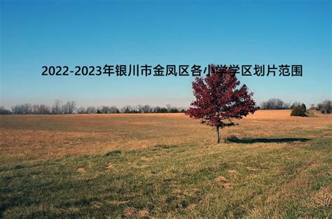 2022 银川市 兴庆区中小学入学电脑派位规则- 银川本地宝