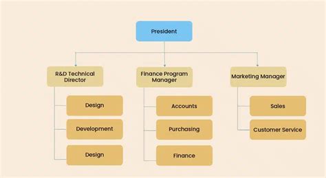 Functional Organization Structure 的图像结果