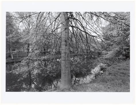 View along Muddy River Improvement, Boston, Massachusetts
