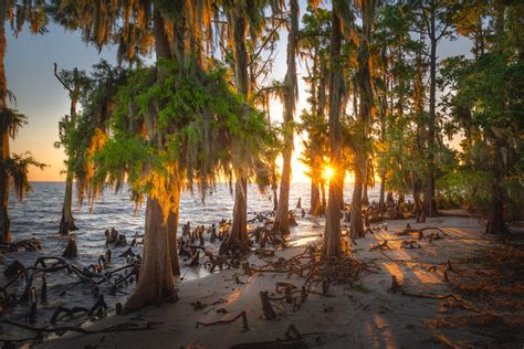 Fontainebleau State Park | Louisiana Travel
