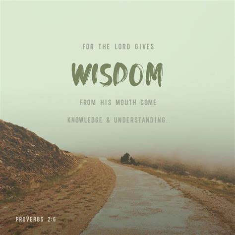 Image result for Wisdom and Understanding Scripture