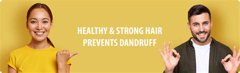 Buy Satthwa Premium Hair Oil (100ml) Online at Low Prices in India ...