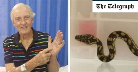 Image result for Python Hunters Bitten