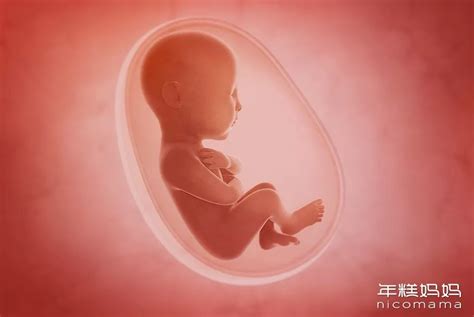 孕15周胎动多少正常范围 - 业百科