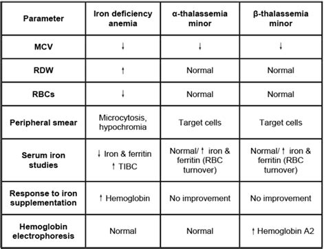 Image result for Enchnting Table Java